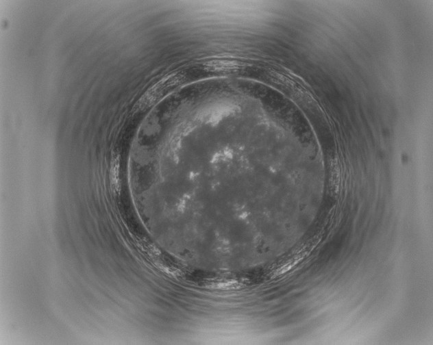 X0000059240267200510171439