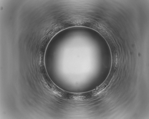 X0000059240268200510171439