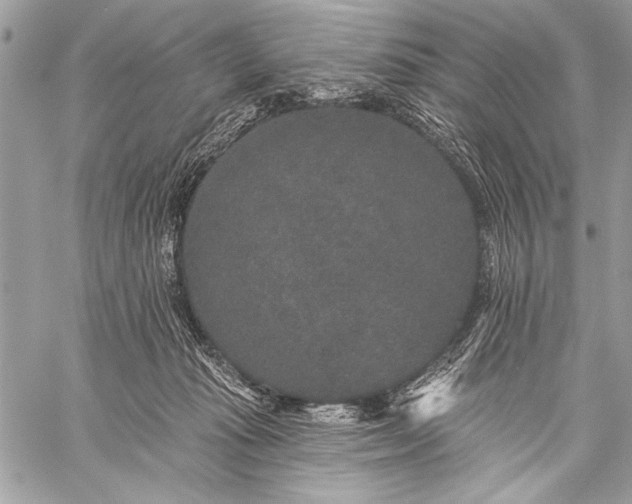 X0000059240269200510171439