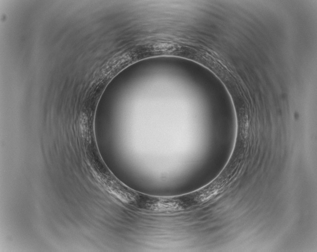 X0000059240270200510171439