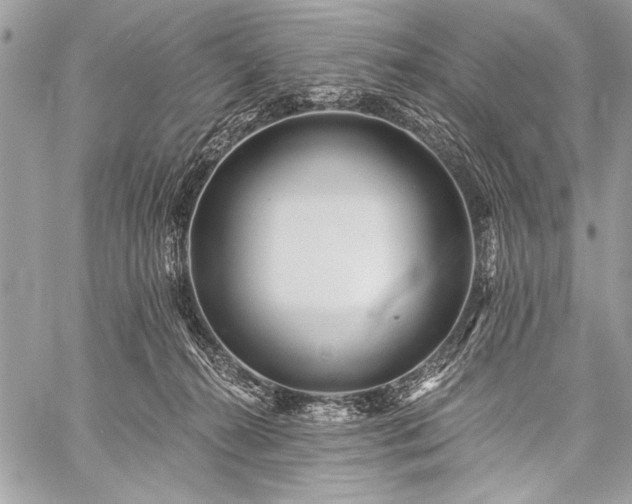 X0000059240272200510171439