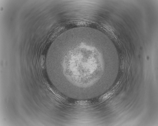 X0000059240273200510171439