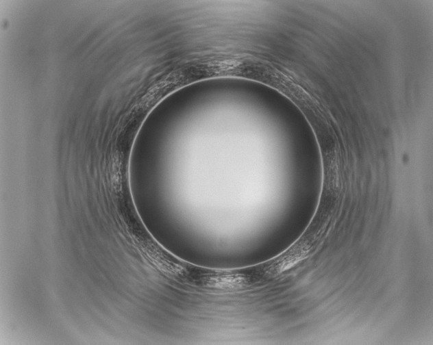 X0000059240274200510171439