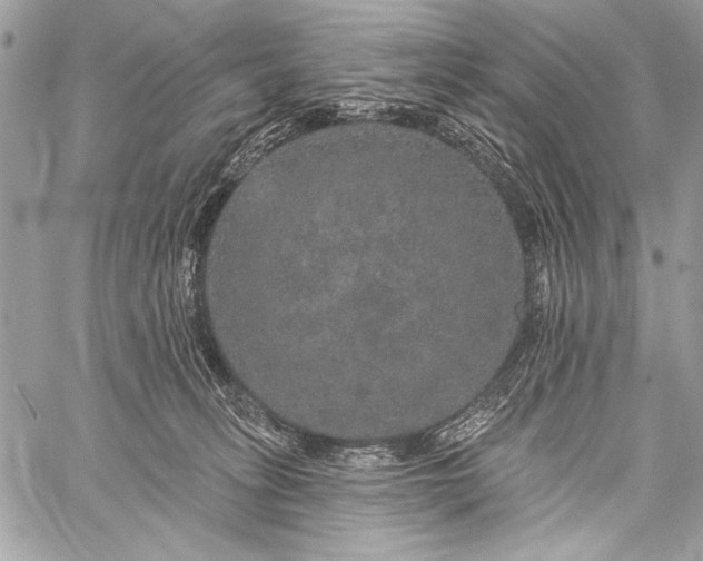 X0000059240275200510171439