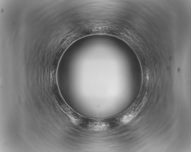 X0000059240276200510171439