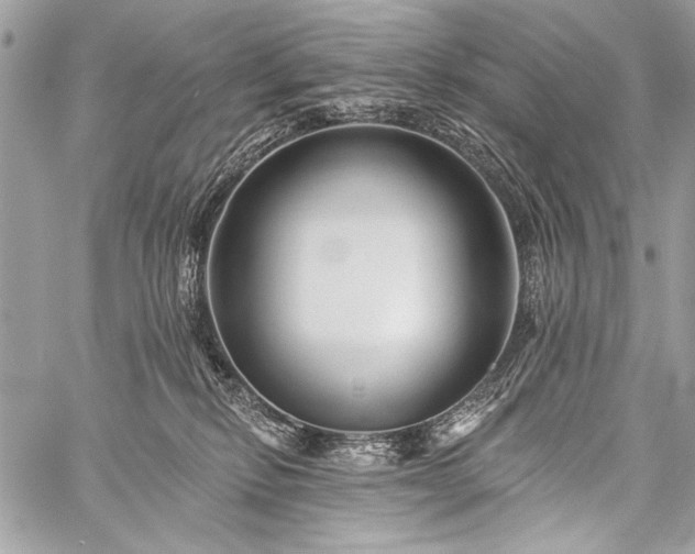 X0000059240278200510171439