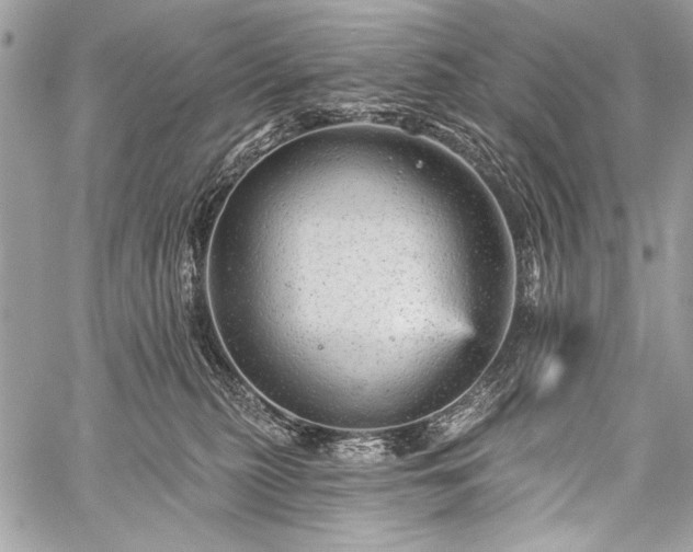 X0000059240279200510171439