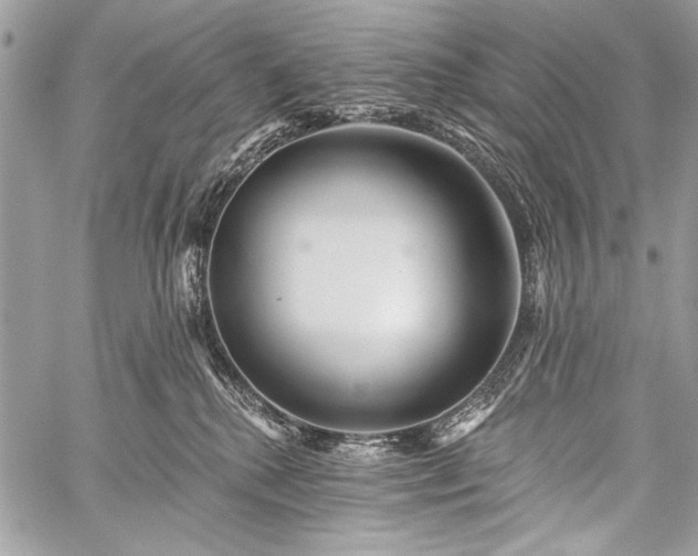 X0000059240280200510171439