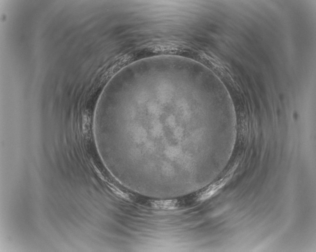 X0000059240281200510171439