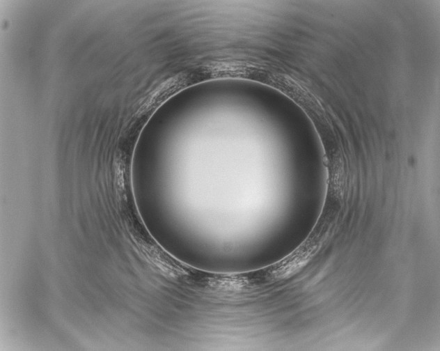 X0000059240282200510171439