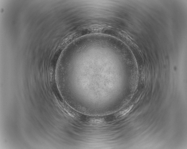 X0000059240283200510171439