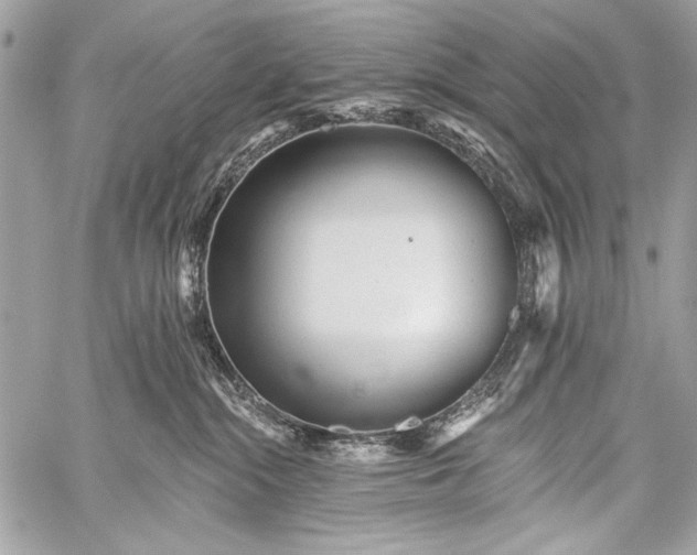 X0000059240284200510171439