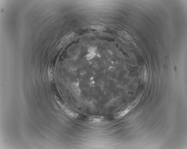 X0000059240285200510171439