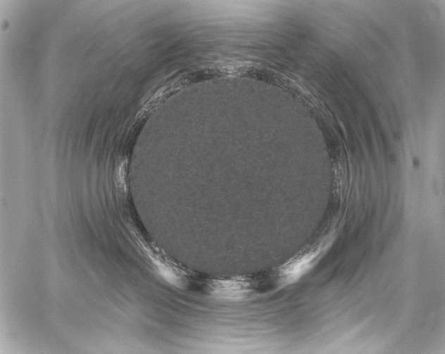 X0000059240286200510171439