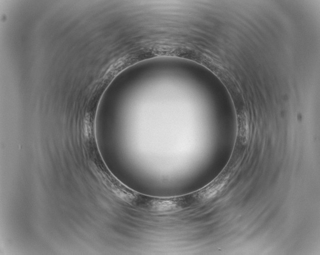 X0000059240287200510171439