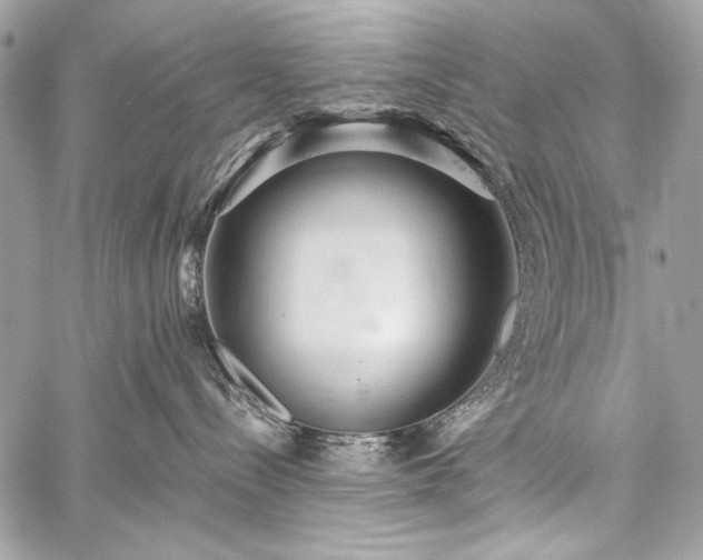 X0000059240288200510171439