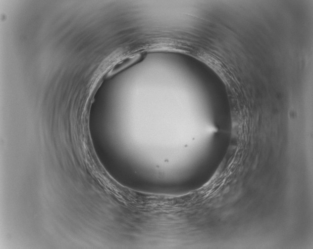 X0000059240289200510171438