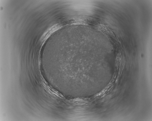 X0000059240290200510171438