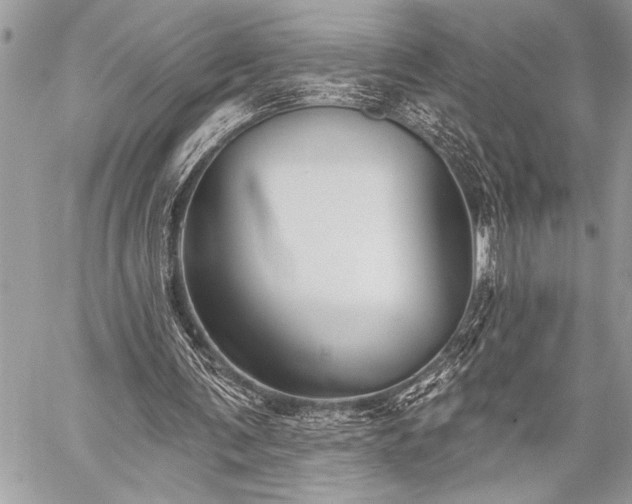 X0000059240291200510171438