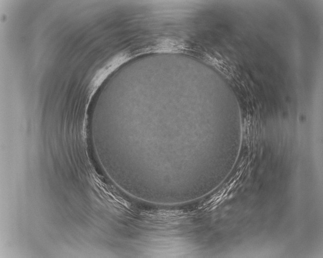 X0000059240292200510171438