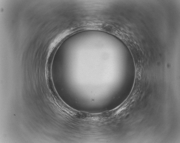 X0000059240294200510171438