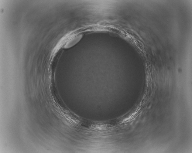 X0000059240295200510171438