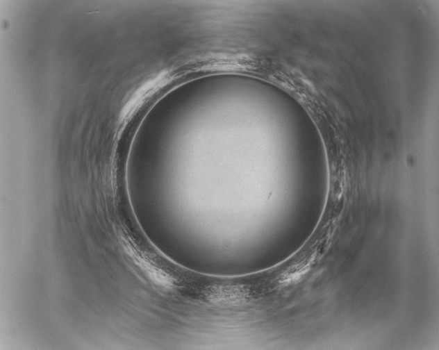 X0000059240296200510171438