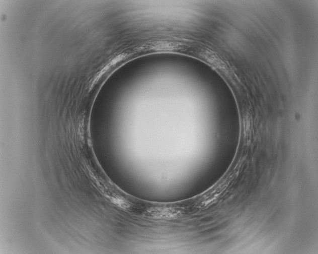 X0000059240297200510171438