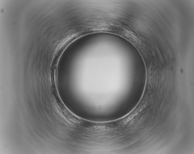 X0000059240298200510171438