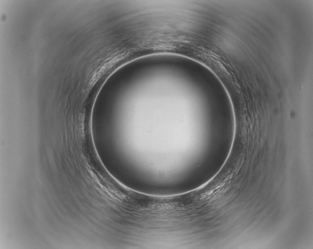 X0000059240299200510171438