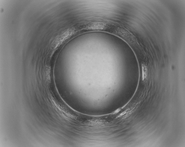 X0000059240300200510171438