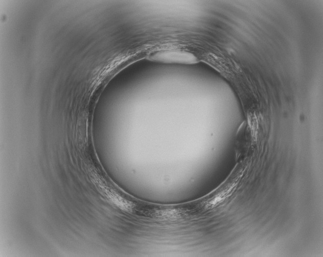 X0000059240301200510171438