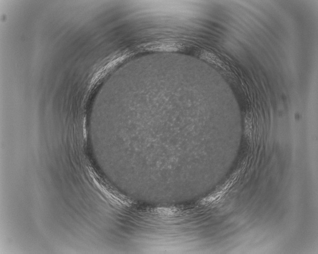 X0000059240302200510171438