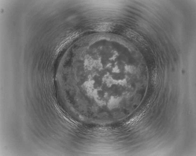 X0000059240303200510171438