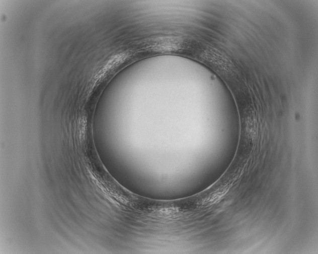 X0000059240304200510171438