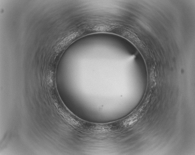 X0000059240305200510171438