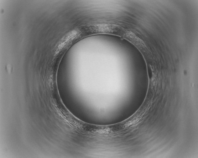 X0000059240306200510171438