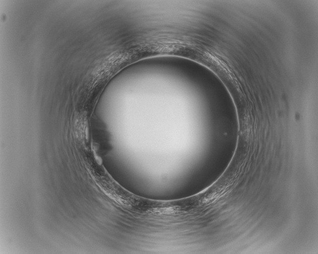 X0000059240307200510171438