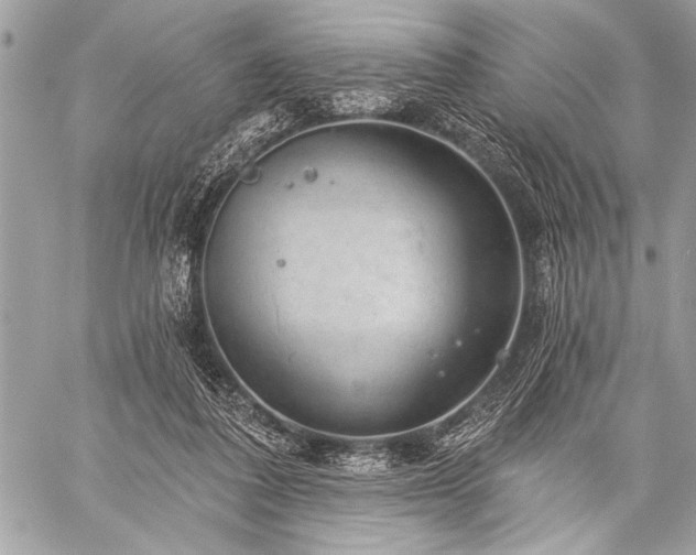 X0000059240308200510171438