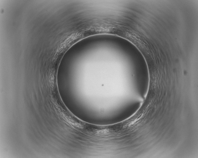 X0000059240309200510171438