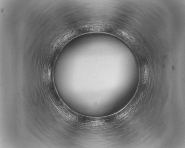 X0000059240310200510171438