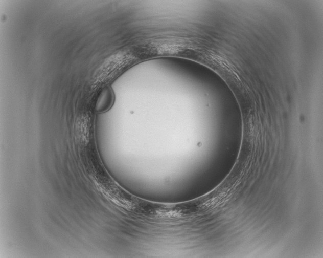 X0000059240311200510171438