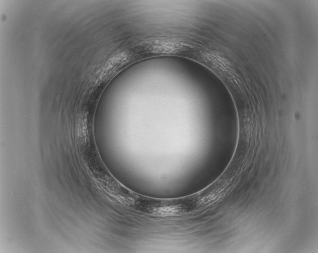 X0000059240312200510171438