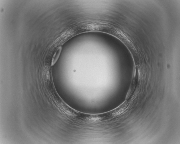 X0000059240313200510171438