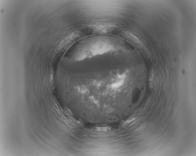 X0000059240314200510171438