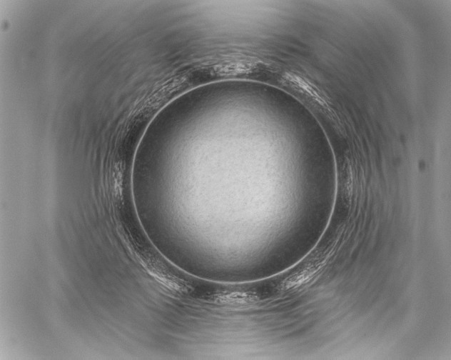 X0000059240315200510171438