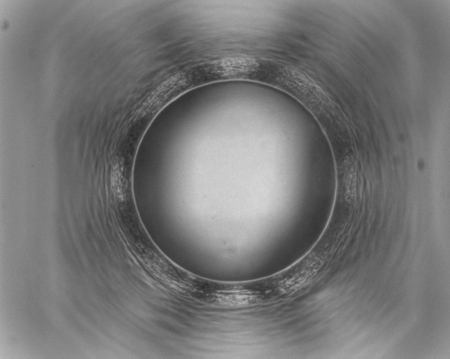 X0000059240316200510171438