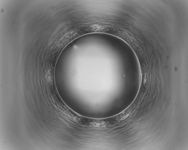 X0000059240317200510171438