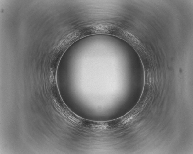 X0000059240318200510171438