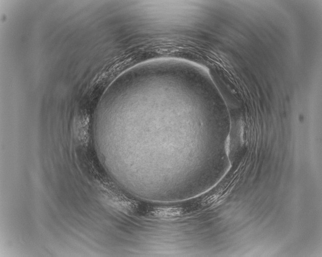 X0000059240319200510171438